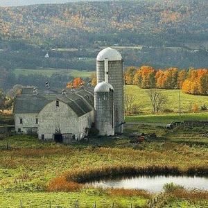 Meet your Posher, Minta